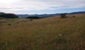 Tour Wandern Fraissinet-de-Fourques - 48  sommet du Gargo 13/07/24 - Photo 7