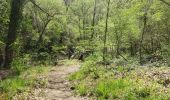 Trail Walking Tourrettes - Chêne chevelu et chêne crénelé - Photo 8