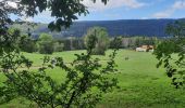 Tour Wandern Grande-Rivière-Château - GR_559_AE_05_Grande-Riviere-Chateau_Hauts-Bienne_20210918 - Photo 5