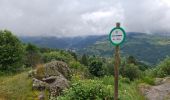 Trail Walking La Bresse - la montagne aux Lamas - Photo 10