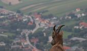 Tocht Te voet Gemeinde Hohe Wand - Wandfußsteig - Photo 8