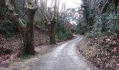 Trail Walking Saumane-de-Vaucluse - saumane 84 la pierre seche - Photo 14