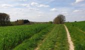 Tocht Stappen Chaumont-Gistoux - Dion-le-Mont - Bonlez - Photo 2