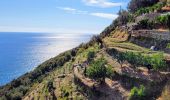 Percorso Marcia Vernazza - sejour-cinq-terres-4eme-jour-corniglia-manarola-riomaggiore - Photo 4