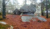 Tour Wandern Noisy-sur-École - Boucle 24 km Fontainebleau Arbonne - Photo 15