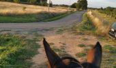 Trail Horseback riding Fronton - Trec 2 finalisé - Photo 13