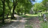 Tour Wandern Cheval-Blanc - Les gorges du Regalon  - Photo 7