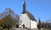 Tour Zu Fuß Bad Schallerbach - Landlweg - Photo 1