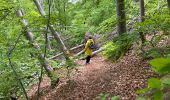 Trail Walking Murol - Tour du Tartaret - Photo 5