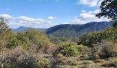 Tour Wandern Mazaugues - le Mourre d'Agnis au départ du Caucadis - Photo 16