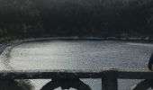 Tocht Stappen Orbey - Lac blanc lac noir musmiss  - Photo 2