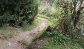 Trail Walking Houffalize - Engreux 230922 - Photo 13