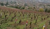 Tour Wandern Joigny - Rando sur les hauteurs de Joigny  - Photo 3