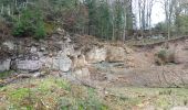 Tour Elektrofahrrad Saint-Clément - sortie vtt 16042023 forêt de Grammond  - Photo 2