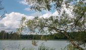 Tour Zu Fuß Chorin - Rundweg Bachsee - Photo 8