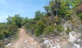 Tour Wandern Monieux - gorge de la Nesque via GR9 - Photo 20