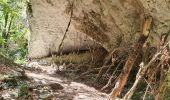 Randonnée Marche Le Chaffal - canyon des gueulards  - Photo 5