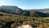 Trail Walking Marseille - Calanques, cirque des Pételins-08-11-2023 - Photo 1