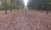 Tocht Stappen Riemst - autour de Kanne via montagne St Pierre et les vignes - Photo 10