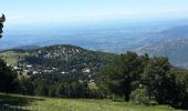 Excursión Senderismo Beaumont-du-Ventoux - Ascension du Ventoux versant nord - Photo 8