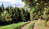 Trail Walking Lierneux - Promenade vers la réserve naturelle de Colanhan (8km)  - Photo 4