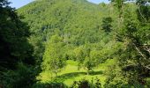 Trail Walking Aulus-les-Bains - Cascade de Fouillet Ariége - Photo 12