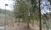 Tocht Te voet Houffalize - Promenade du Lac de Nisramont - Photo 7