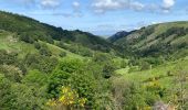 Trail Walking Bassurels - Mont Aigoual Meyrues - Photo 4