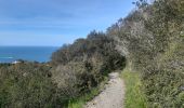 Excursión Senderismo Collioure - autour de Collioure a travers les vignes - Photo 5