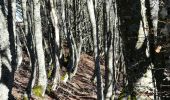 Trail Walking Besse-et-Saint-Anastaise - 2020-02-15 13:19:34 Jour - Photo 7