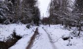 Randonnée Marche Vielsalm - Forêt domaniale du Grand-Bois  - Photo 5