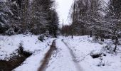 Tour Wandern Vielsalm - Forêt domaniale du Grand-Bois  - Photo 5