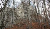 Tour Zu Fuß Unknown - Poteca Cheii din Cheile Vârghișului - Photo 3