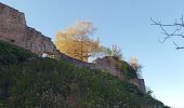 Randonnée Marche Neubois - Château de Frankenberg - Photo 1