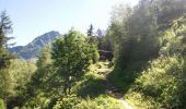 Trail Walking Chamonix-Mont-Blanc - Trajet Retour - Photo 20