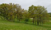 Tocht Stappen Golinhac - golinhac conques  - Photo 6