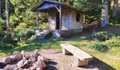 Tour Wandern Bad Peterstal-Griesbach - Bad Peterstal - cascade du Holchen - lac de Glaswald – échelle de la chaire du diable - cascade de Griesbach - Photo 14