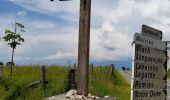 Trail Walking Golinhac - live Golinhac - Conques  - Photo 17