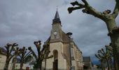 Excursión Senderismo Coteaux-sur-Loire - Saint-Patrice - GRP Coteaux de Bourgueil - 24.7km 300m 5h45 (45mn) - 2023 04 26 - Photo 7