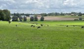 Tocht Stappen Zonnebeke - Zonnebeke 21,5 km - Photo 8