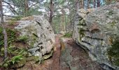 Tocht Stappen Fontainebleau - Fontainebleau sentier Denecourt 9 Est - Photo 5