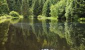 Trail Walking La Bresse - boucle la Bresse - lac des corbeaux - rocher du lac - Ã©tang de sechemer - la Bresse  - Photo 1