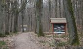 Trail On foot Geisenheim - Rundwanderweg Eber - Photo 5