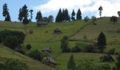 Percorso A piedi Sconosciuto - Moieciu de Sus - Șaua Strunga - Cabana Padina - Photo 4