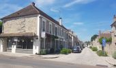 Excursión Senderismo Saint-Fargeau-Ponthierry - Ppnthierry-barbizon-Bois le Roi - Photo 1