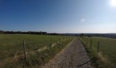 Trail Mountain bike Viroinval - Olloy 2018 - 60km : 1400m - Photo 1