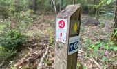 Trail Walking Plombières - Moresnet Chapelle 3 Frontières 15,9 km - Photo 17