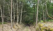 Tocht Stappen La Chapelle-Enchérie - La Chapelle-Enchérie - Bois de Bricsard - Photo 6