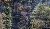 Randonnée Marche Berrias-et-Casteljau - Gorges du Chassezac - Photo 9