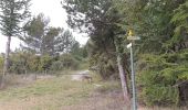 Tocht Stappen Villeneuve-de-Berg - la forêt des sens Villeneuve de Berg  - Photo 3